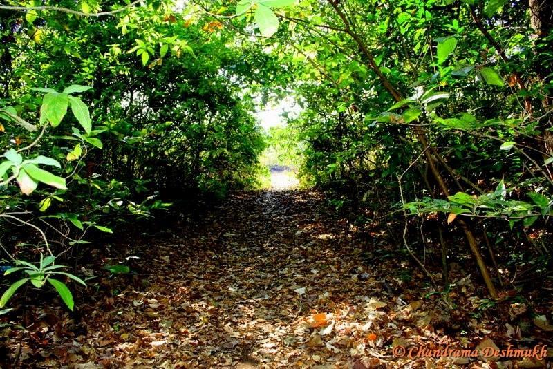 Click_Therapy's tweet image. Silence has stories
nature understands
Leaves shiver
Clouds fill up
Waves murmur in sleep
#ClickTherapy #nature