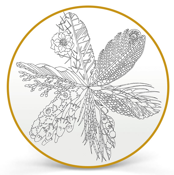 abecediarist's tweet photo. Hi #Ontario! Vote my Flora &amp; Fauna coin design to see a #fiddlehead on our 2017 coins! http://t.co/a0Sgh7d1W5 http://t.co/a4UJndpK7O