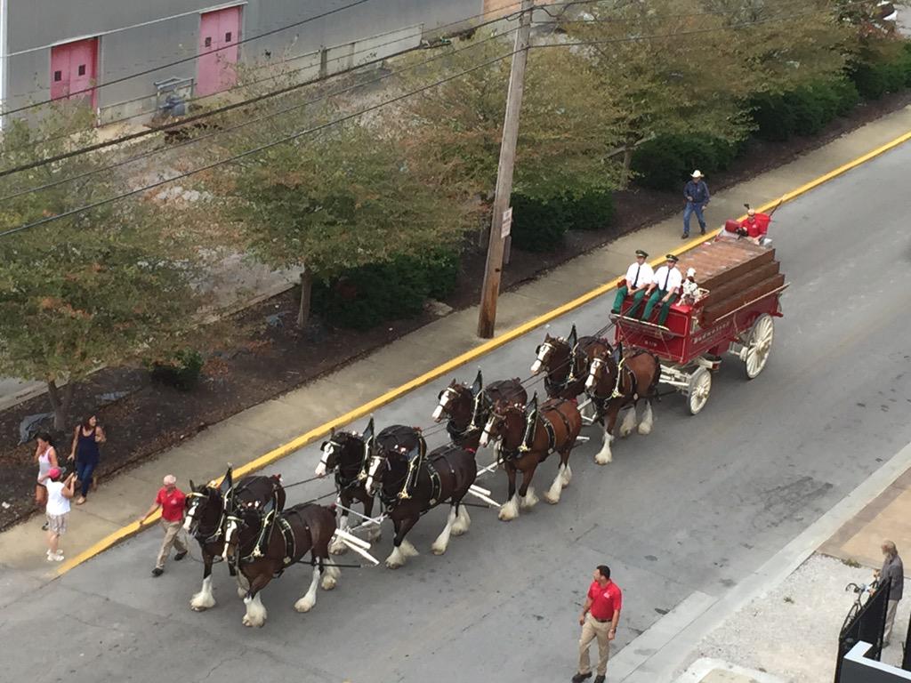 joeimel's tweet photo. Was shooting #Clydesdales for @bgdailynews with my real cameras for Saturday's paper, so @tracyimel shot this, http://t.co/TSCGBLBFyE