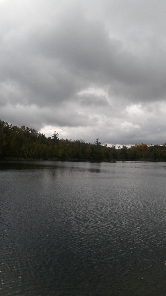 HolyFamilyGr6's tweet photo. #fieldtrip  #crawfordlake #turtleisland #indigenouswaysofknowing #elders @holyfamilygreco @HolyFamilyTCDSB http://t.co/aDawunoqh0