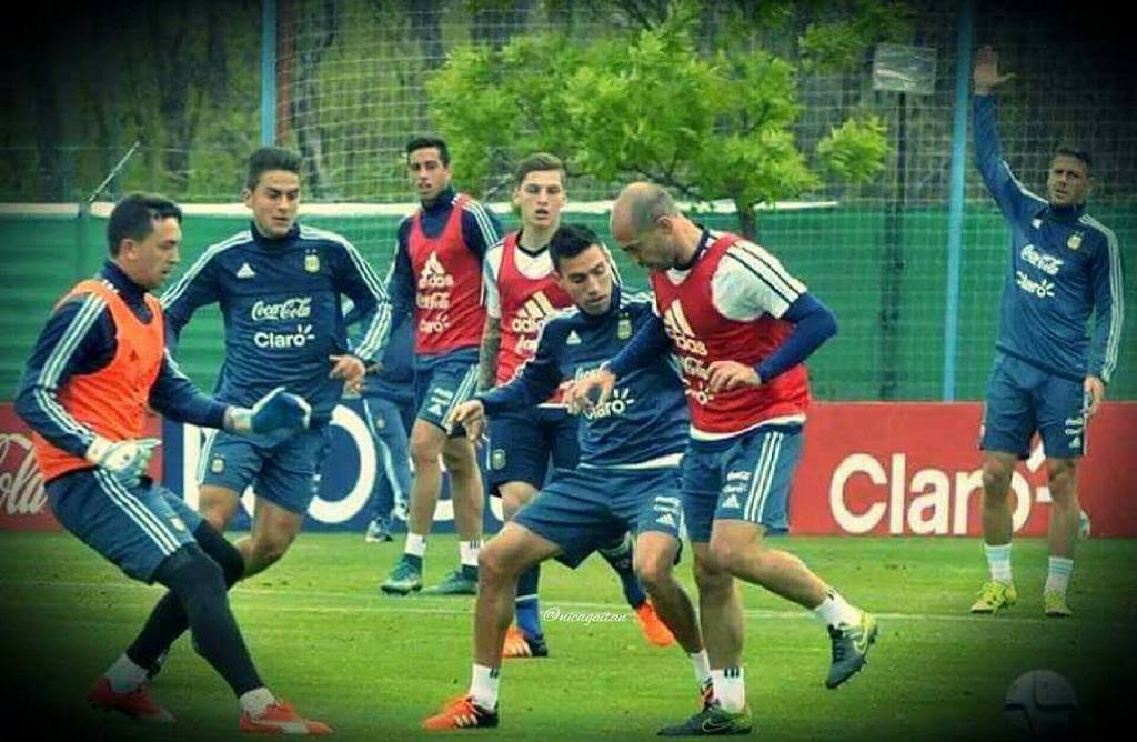 GloriosoSLBApp's tweet photo. Seguindo con el entrenamiento 👌 Vamos @nicogaitan 💪💪❤ #SiempreOsvaldo #CarregaBenfica #NicoGaitan #ng10 #Zico #Elzu… http://t.co/C0l6uS4kan