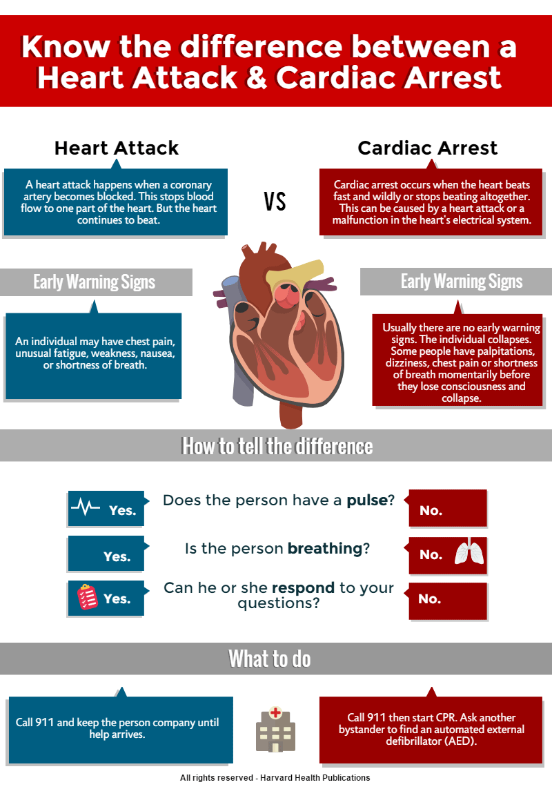 essay heart attack Heart attack essays: over 180,000 heart attack essays, heart attack term papers, heart attack research paper, book reports 184 990 essays, term and research papers available for unlimited access. essay heart attack Heart attack essays: over 180,000 heart attack essays, heart attack term papers, heart attack research paper, book reports 184 990 essays, term and research papers available for unlimited access.