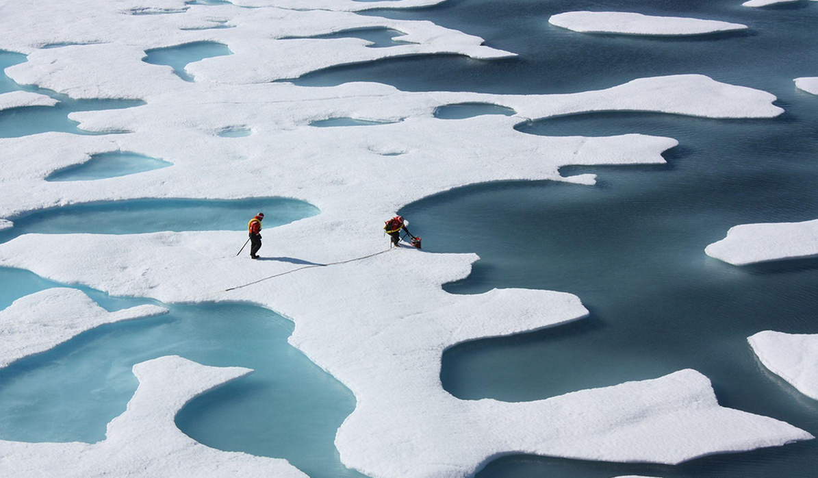 Los Angeles Times tweet media