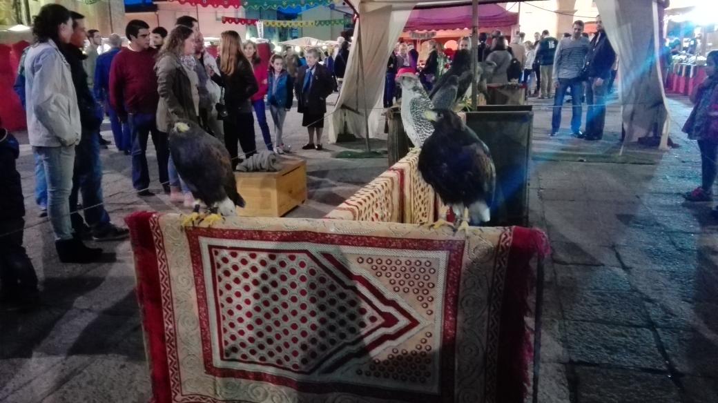 PotterMere tweet media