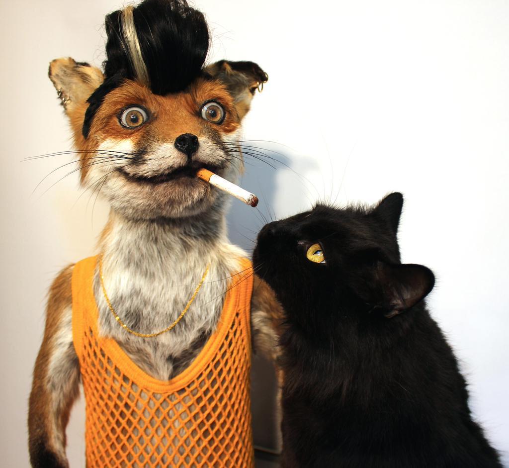 CrapTaxidermy's tweet image. Relationship goals...