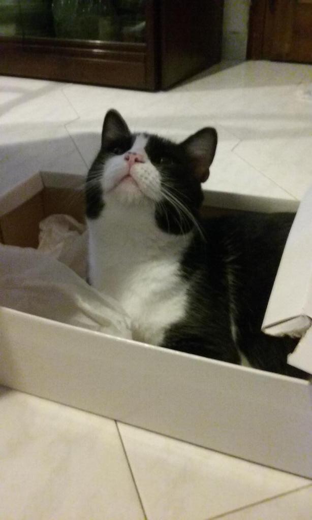 Questa cosa che ordini un pacco su Zalando e ti arriva veramente un pacco deve finire!