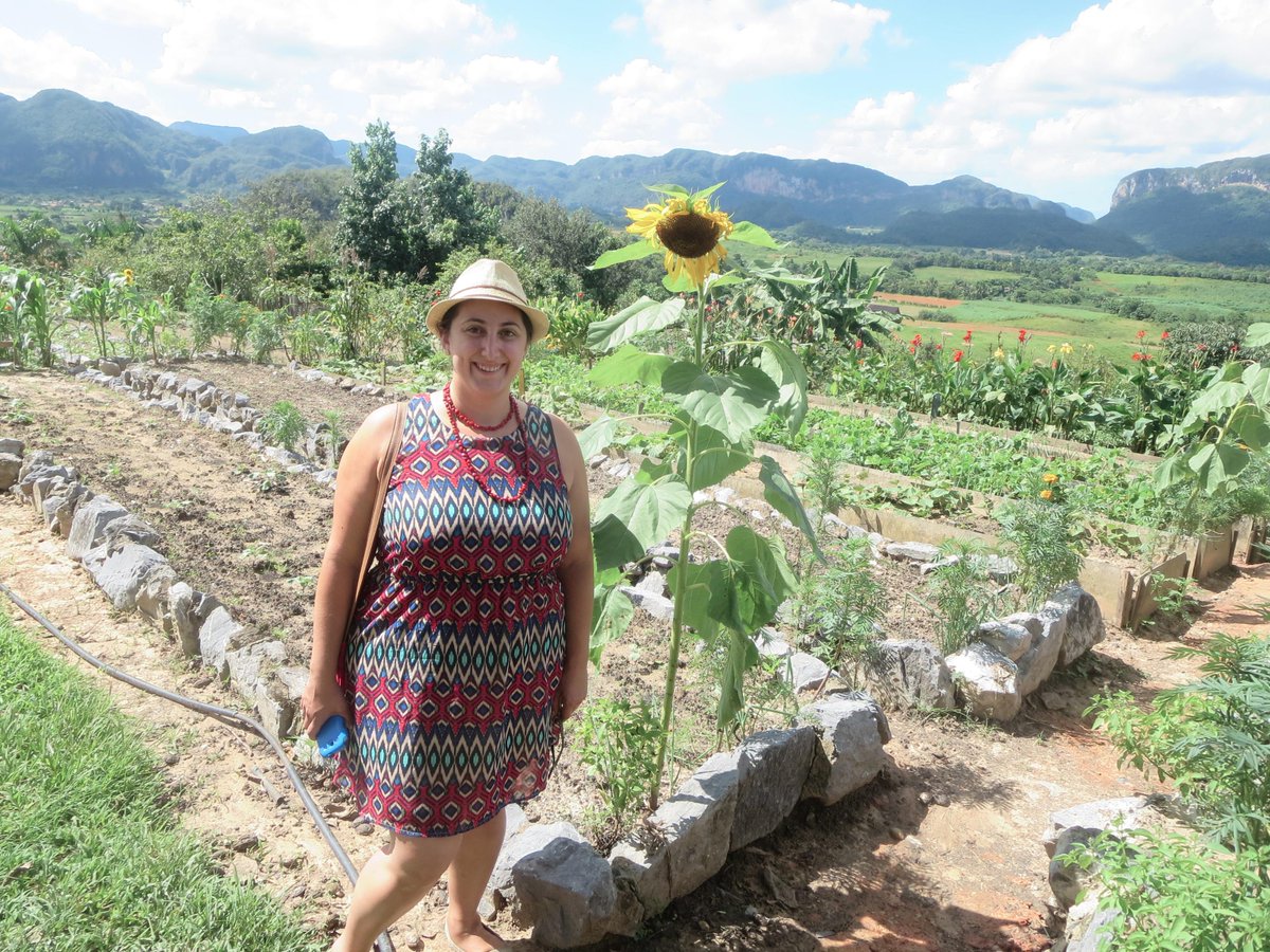 FNDZkPass's tweet photo. The landscape in #Cuba is beautiful and lush! This #Sunflower is taller than me! #Garden #jardin http://t.co/bw86pTeJ10