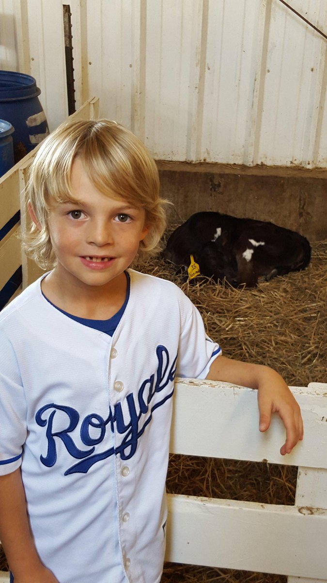 CoffmanMama's tweet photo. Ryder &amp; Hos-Moo! Let's Go, Royals! @shattomilk @Royals http://t.co/aSjPF3Ytzh