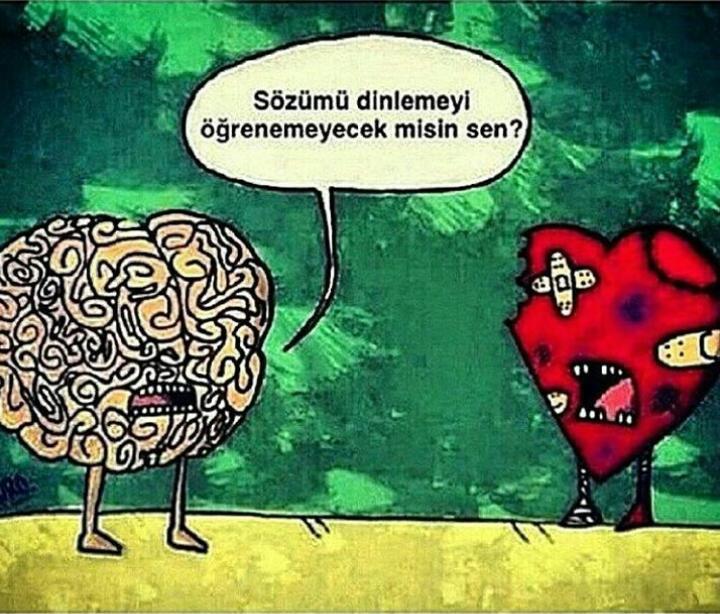 Semram Onay (@onaysemram) on Twitter photo 