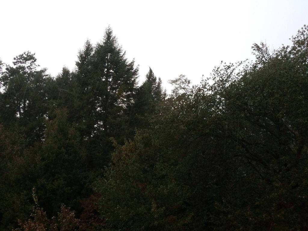 The view from my place is better than yours.