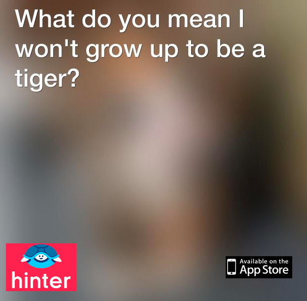 myhinterapp's tweet photo. Serious cat problems ... #catproblems http://t.co/AoAA9OdzM7 http://t.co/AOFlEGZ3FW