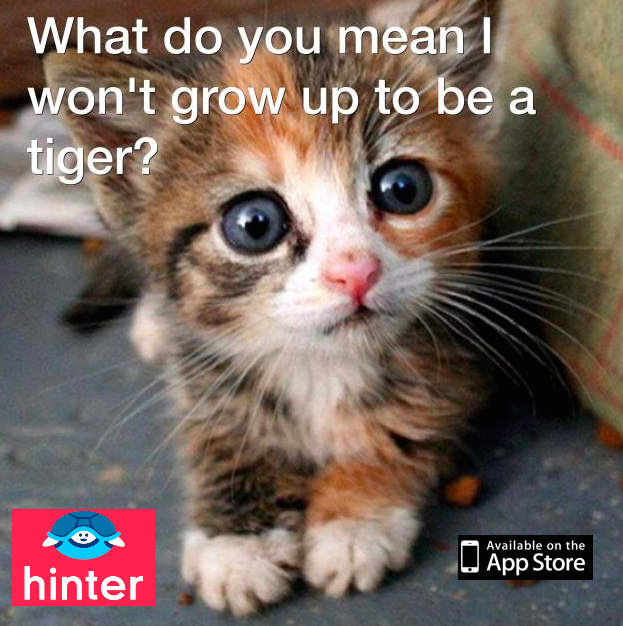 myhinterapp's tweet photo. Serious cat problems ... #catproblems http://t.co/AoAA9OdzM7 http://t.co/AOFlEGZ3FW