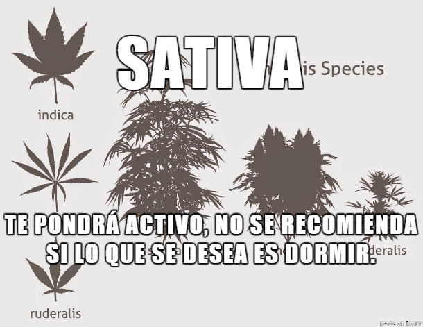 JonhCar's tweet photo. #México desinfórmate y conoce sobre la Marihuana, cuyo nombre original en este continente fue: tabaco mexicano. http://t.co/PWn49FUe9d