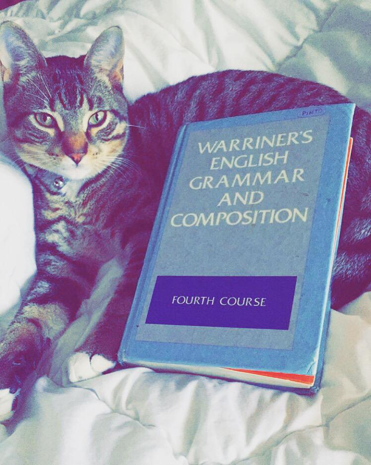 Grammar lessons and cats simply just go together ... Trust me. #grammarcat