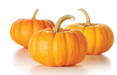 SineaPies's tweet photo. Four ways to keep your pumpkin decorations fresh longer #pumpkins #homedecor #decorations http://t.co/M7azlMfTYI http://t.co/sSThrgL6z2