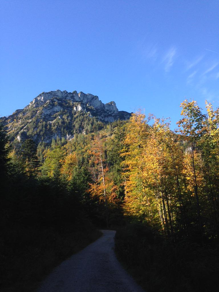 carina_argento's tweet image. wish you all a #beautiful #weekend ! i'm #offlin for some #regeneration &amp;amp; #outdoor #fun :)