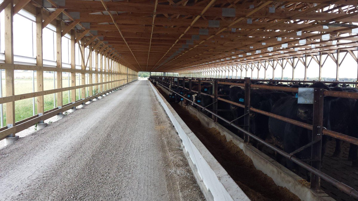 Travis Meteer On Twitter Cattle Feeding In Il New Barns Are