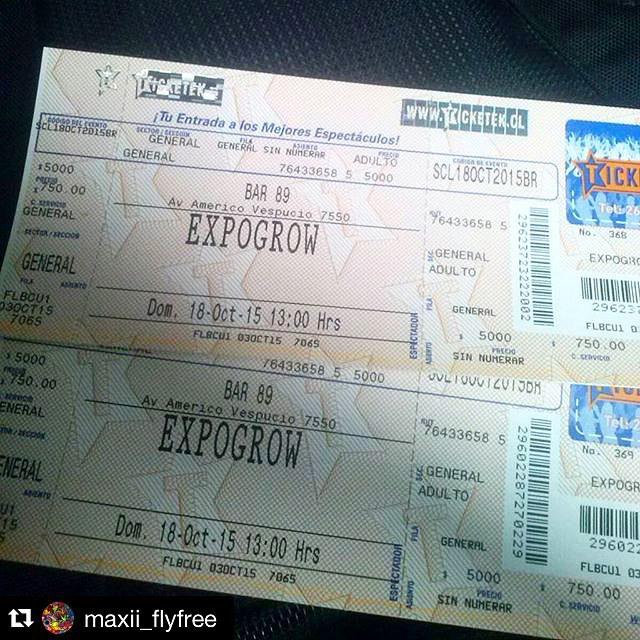 420storecl's tweet photo. Yo voy a #expogrowchile el 18 de Octubre en Bar89 🍀🌎 #cannabis #growmarket #musica #lifest… http://t.co/ktQeo8ZMQb http://t.co/DgBuIsdB7I