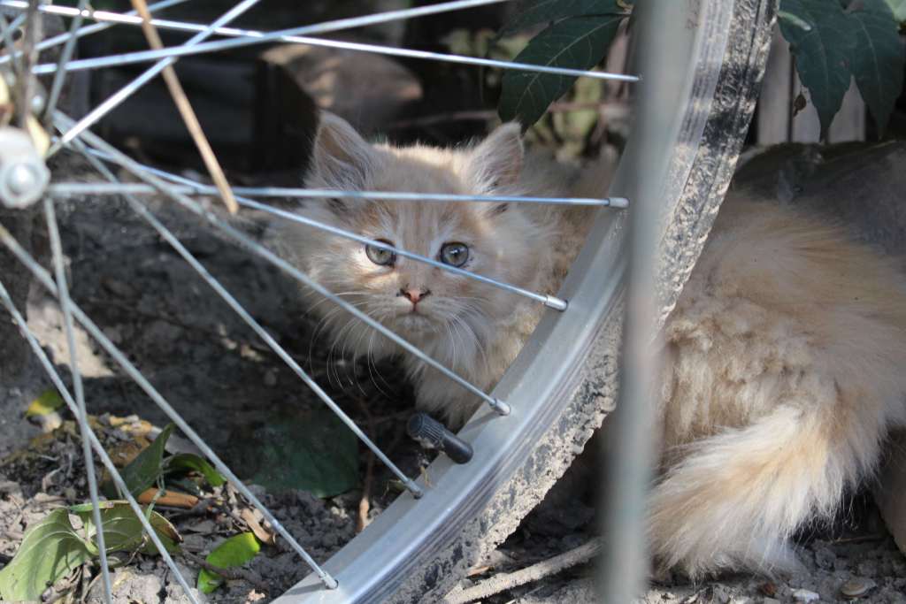 everyday beijing – autumn rachelceramics.com/2015/10/10/eve…