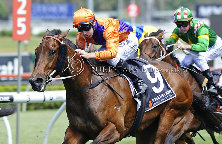 LisaGrimm9's tweet photo. She was a $650k yearling by @Fastnet_Rock  from @inglis_sales Easter, #CANA wins for @HawkesRacing and @TommyBerry21 http://t.co/0a8Yi2iAkb