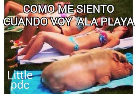 Davidu1901's tweet photo. Yo en mamitas u.u http://t.co/HA2ynKdwaZ