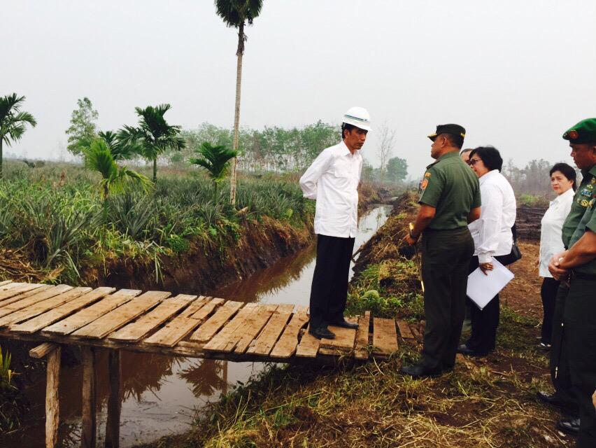 Pembuatan embung untuk antisipasi kebakaran lahan gambut mengalami kemajuan. Saya harap daerah lain mengikuti -Jkw