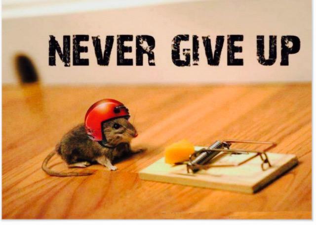 Für mich das Bild des Abends #zf15 <a href="/netzpolitik/">Markus Beckedahl</a> <a href="/zuendfunk/">Zundfünk</a> <a href="/sls_fdp/">Sabine Leutheusser-Schnarrenberger</a> <a href="/anked/">Anke DomscheitBerg (bsky: @anke.domscheit-berg.de)</a>