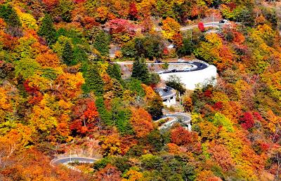 日光いろは坂の紅葉22の見頃は 渋滞状況や駐車場も ツクの世界