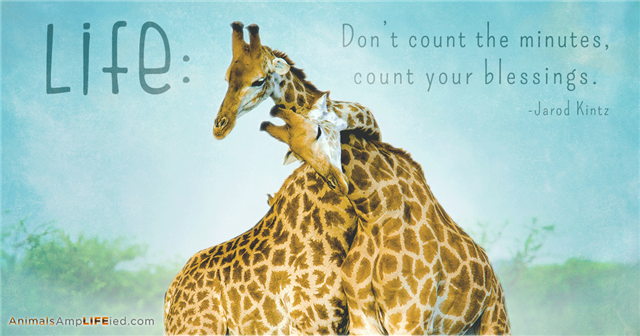 ChiroRadDoc's tweet image. There is always something to be grateful for! bit.ly/1MmleBC