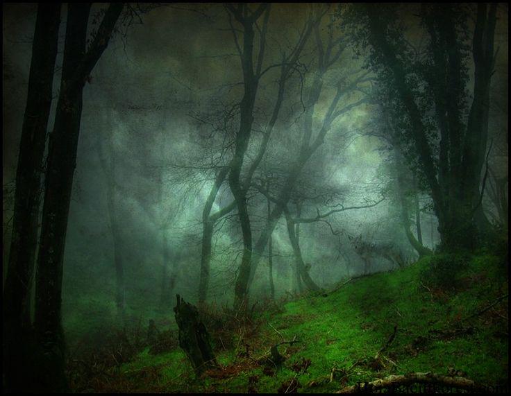 JyadeCythrawl's tweet image. HOIA-BACIU FOREST IN ROMANIA 
The locals consider the forest to be cursed. The Most Haunted Forest!