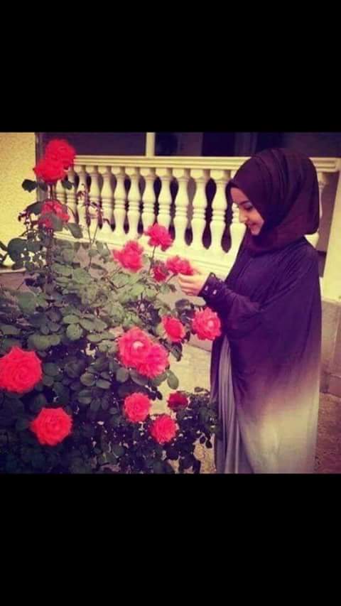 وينگ تعال اليل
خلص وانه اسولف بيگ
