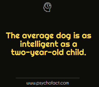 psychofactcom's tweet photo. http://t.co/BgHFeoM9bh
