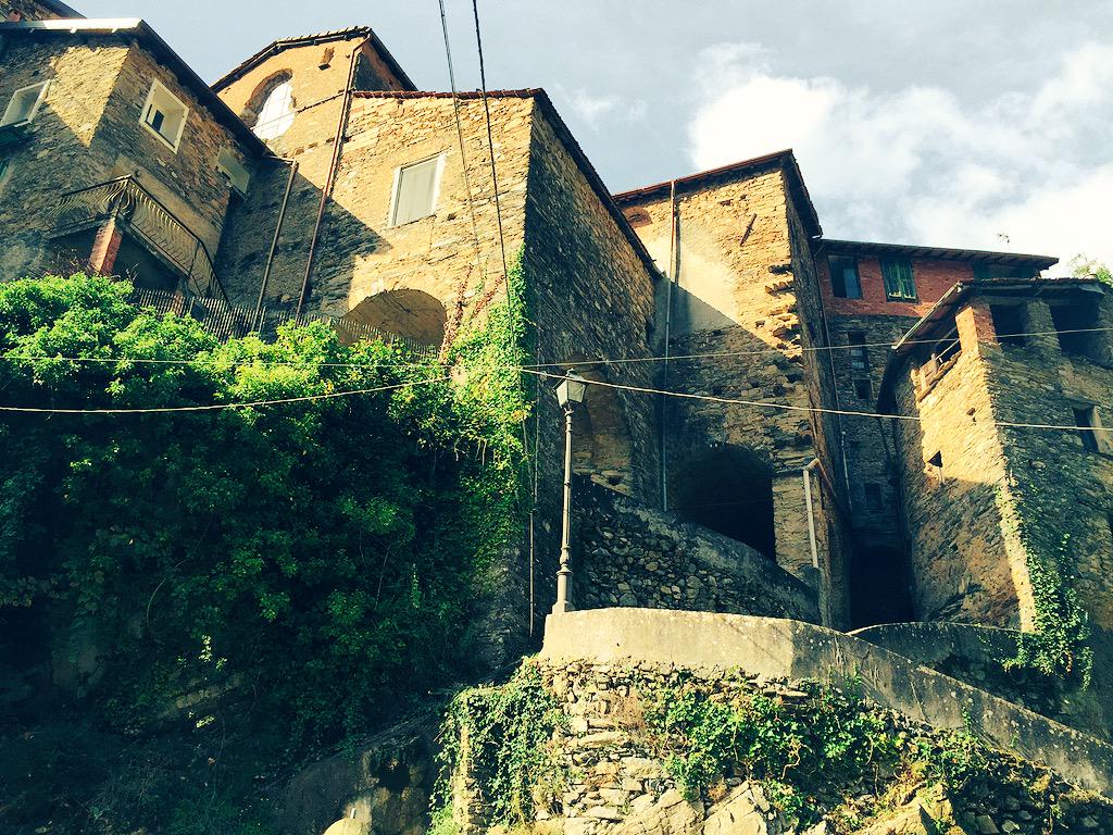 Theobiunno's tweet photo. Saturday Running Outdoor #bordighiera #buggio #colline #castagne 🏃☀️🌰🏃☀️🌰🏃☀️🌰 http://t.co/AcZGV4U2d5