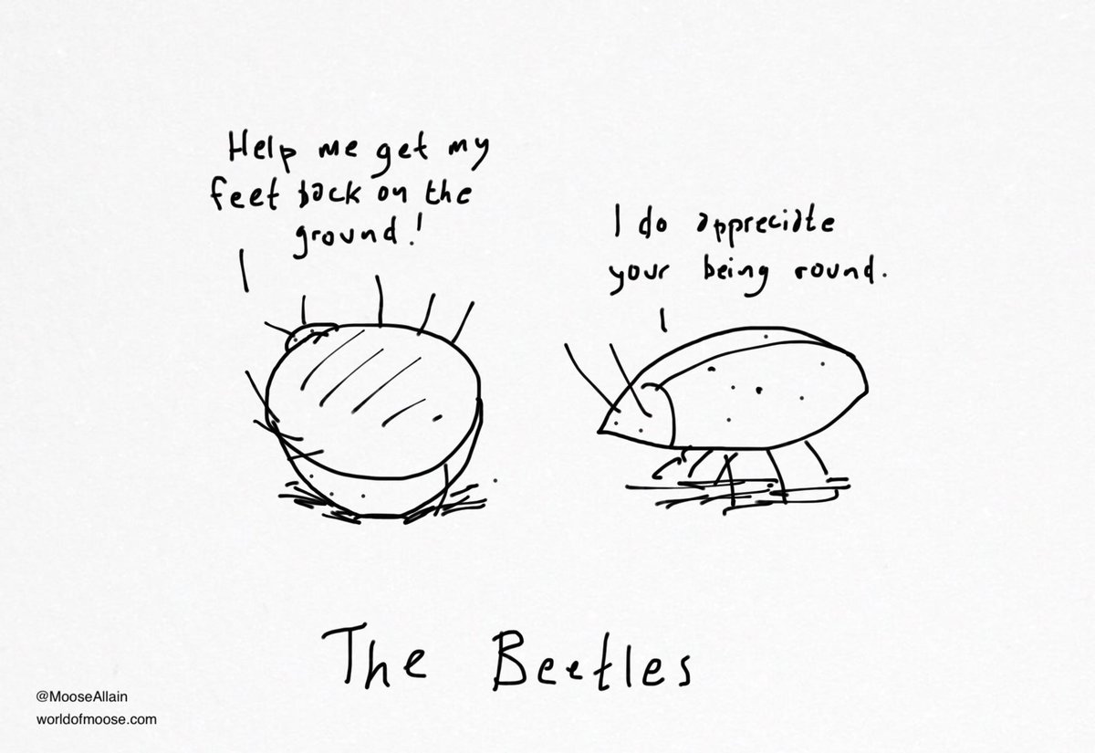 MooseAllain's tweet photo. The Beetles http://t.co/ZB5jk2WZB7