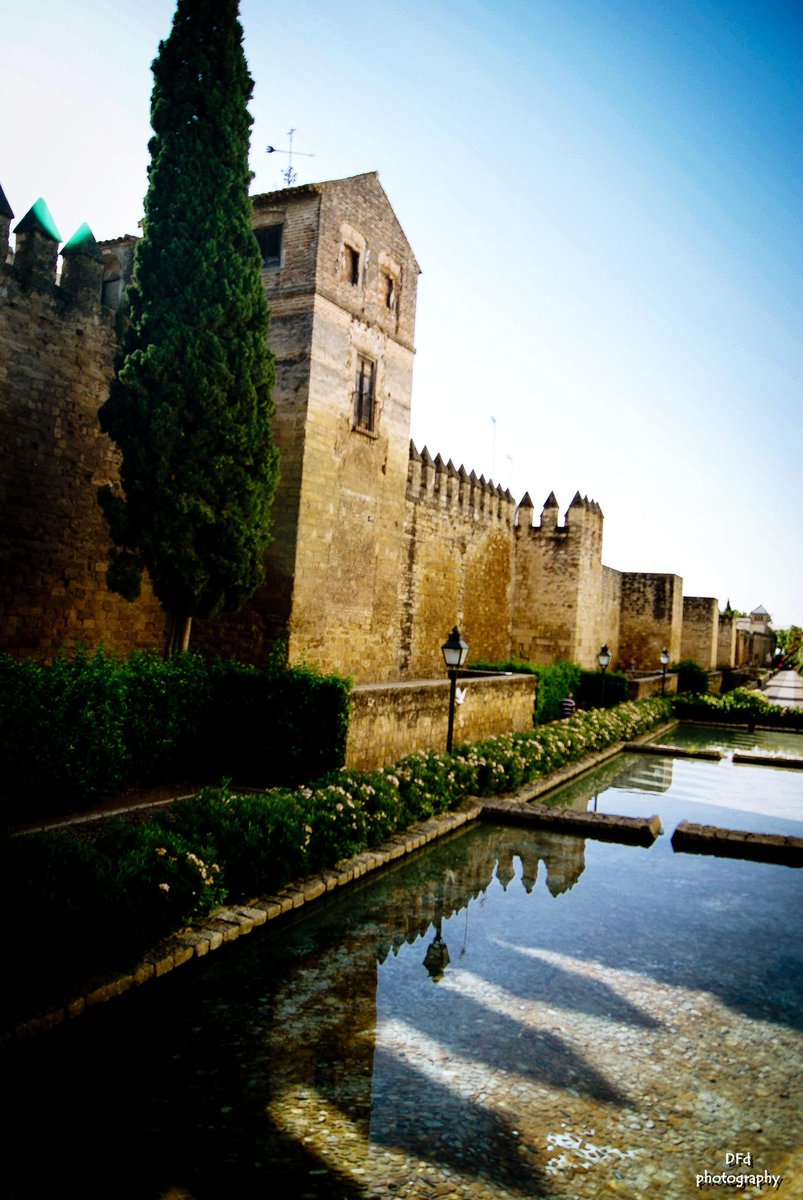 DEFARDEL Fotografía tweet media