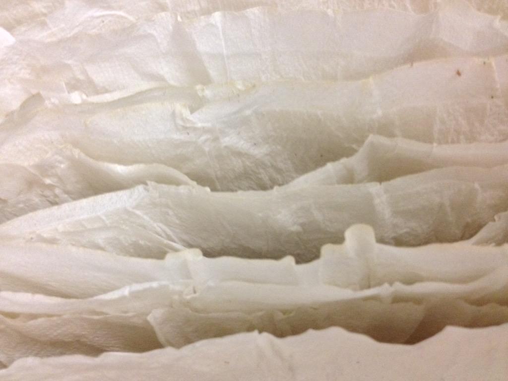 mattisaurus's tweet image. Studio shot. Working on my show piece, the installation is growing! More details to come #art