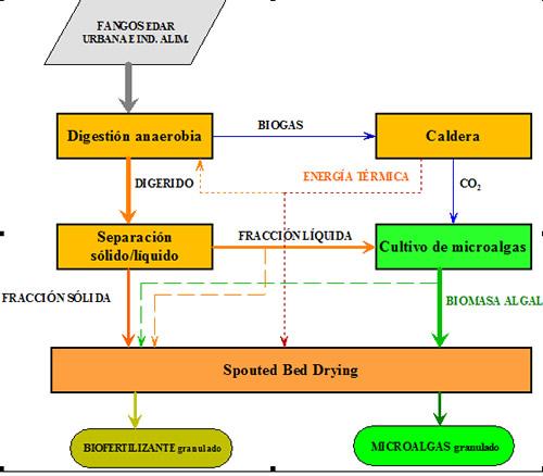 Lodos de depuradora: ¿Cómo transformarlos en #biogás y nuevos #biofertilizantes? ow.ly/Ta9fA