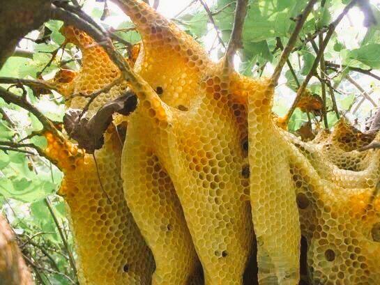 سعيد (@saidoman3071) on Twitter photo 