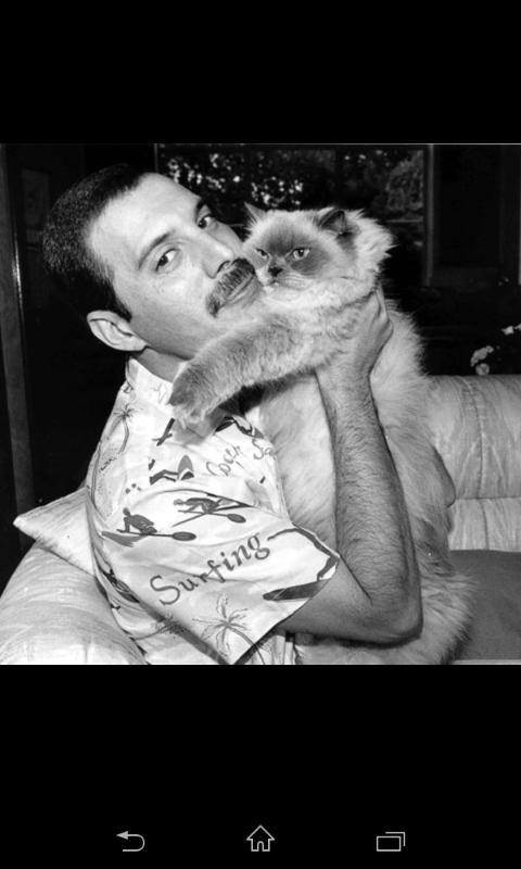 Time to sleep and put the cat out, bye!!