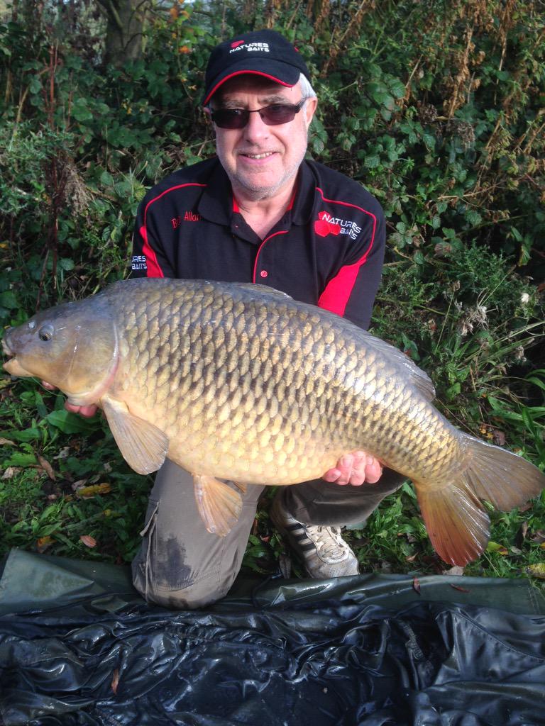 BobskiAllan's tweet photo. 24lb common @Naturesbaits alpha/white ice snowman doing the business http://t.co/KubbL8KsE3