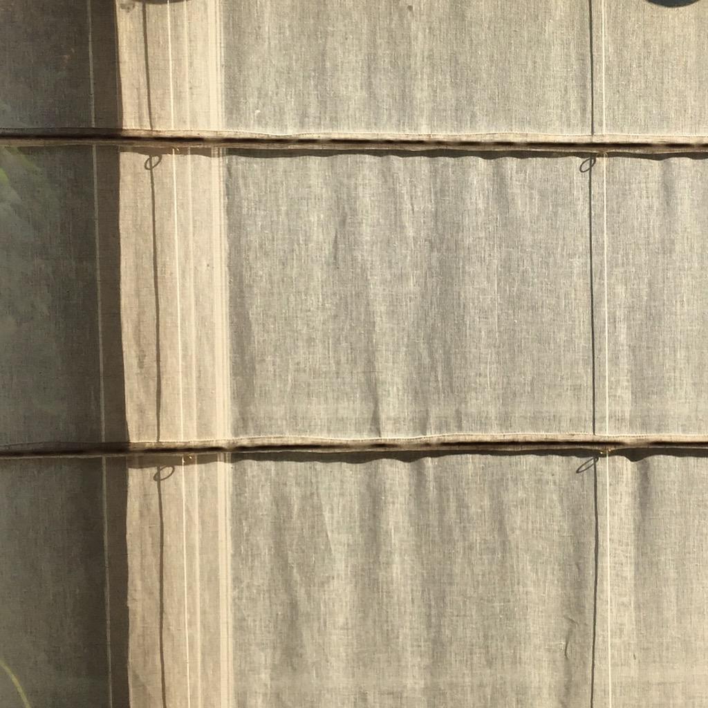 Charlotte Crosland tweet media