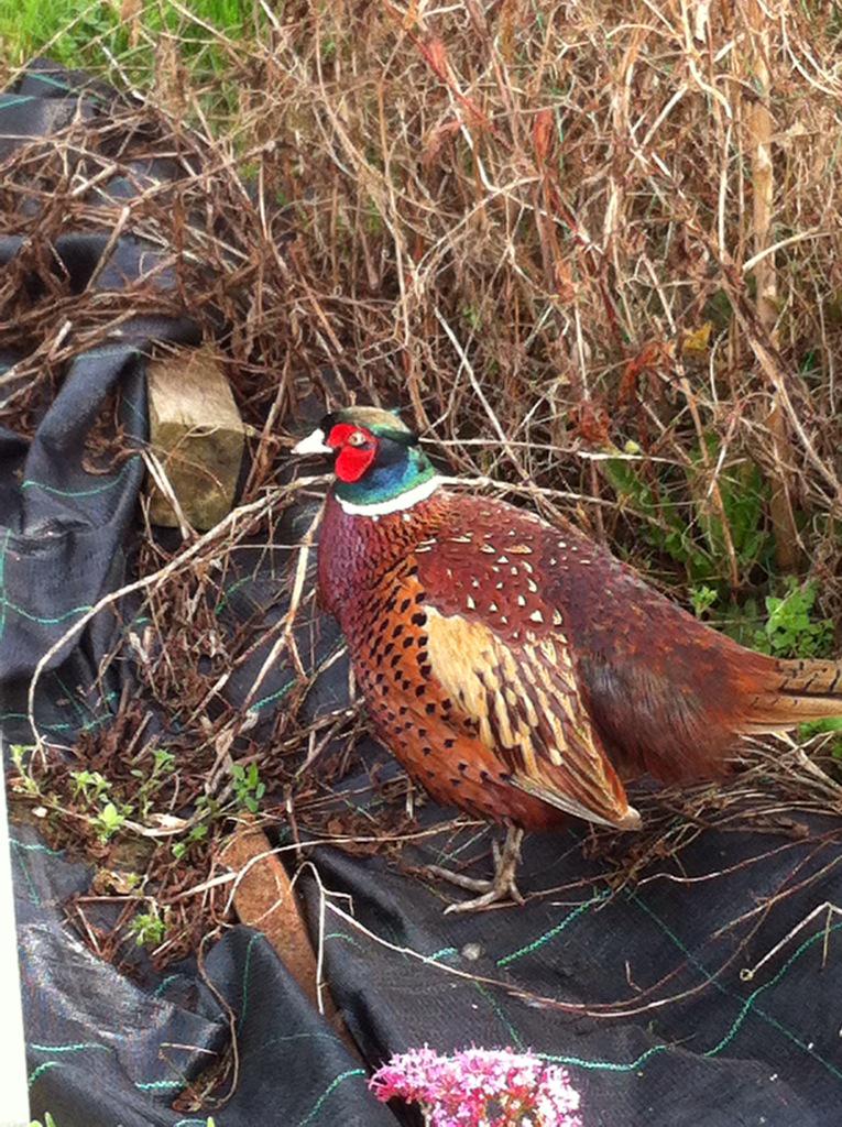 Friendly face on the lotto today