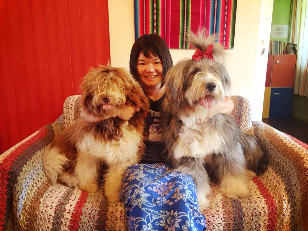 오늘은 아일랜드 게스트 하우스의 오픈 6주년. 시간 참 빠르다~ 그동안 많은 관심과 사랑을 주셔서 감사합니다. 앞으로 더 계속 화이팅 합시다!