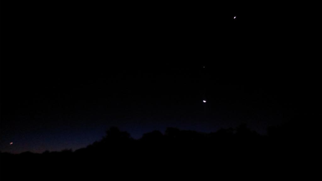 Trail Animals tweet media