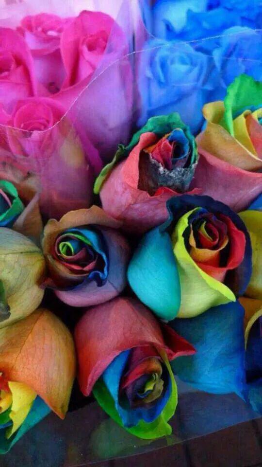 ياهل الصدور الضايقة عينو خير
لجروحكم عندي علاجن يضمّد
لآشانت ظروف الزمن والمقآدير
صلو على خير البرية محمد ﷺ