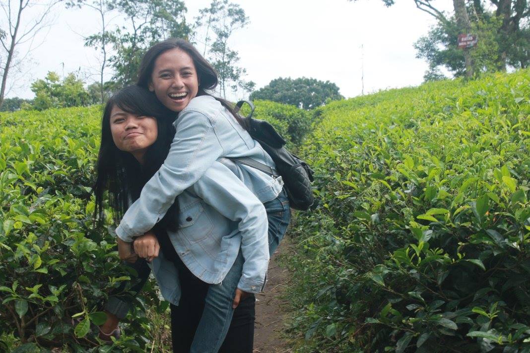 #KebunTeh #Malang #Kembaran #Meiria
