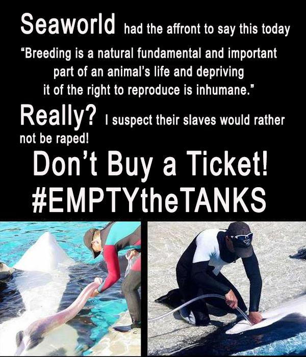 _AnimalAdvocate's tweet photo. #Victory
#SeaWorld banned from sexual abusing captive #orcas 
http://t.co/n1G3Ez2gG8 
#RejectBlueWorldProject
@Peta http://t.co/HfY5Xhc6qR