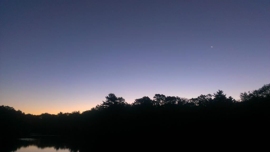 Trail Animals tweet media