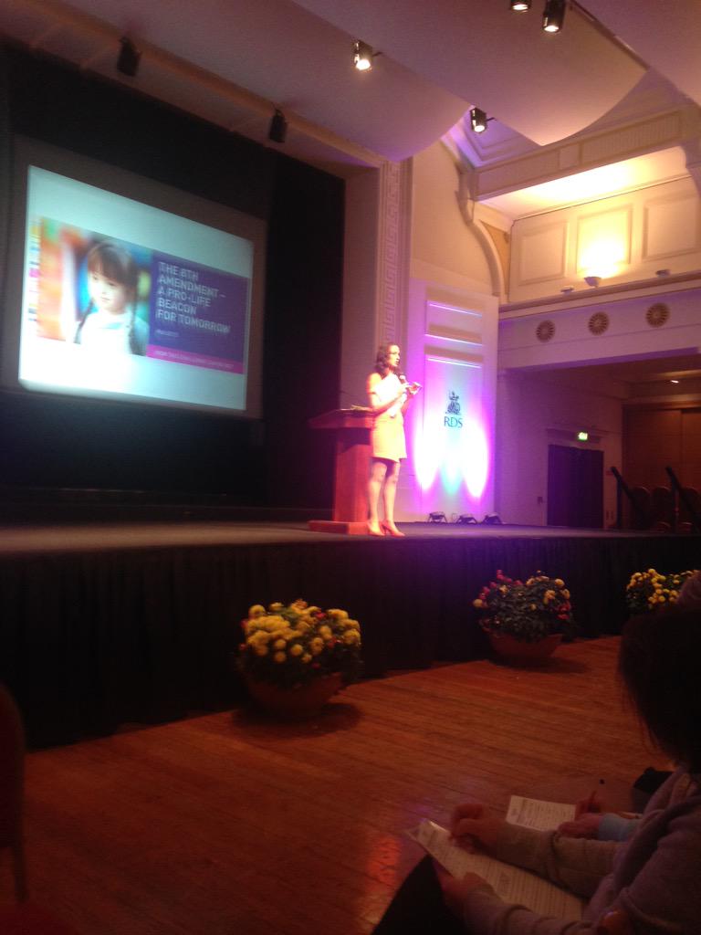 marchforlifeire's tweet photo. "What stands between protecting the 8th amendment is you". Final words from Wendy Grace #plc2015 http://t.co/XWpJb7nQ3F
