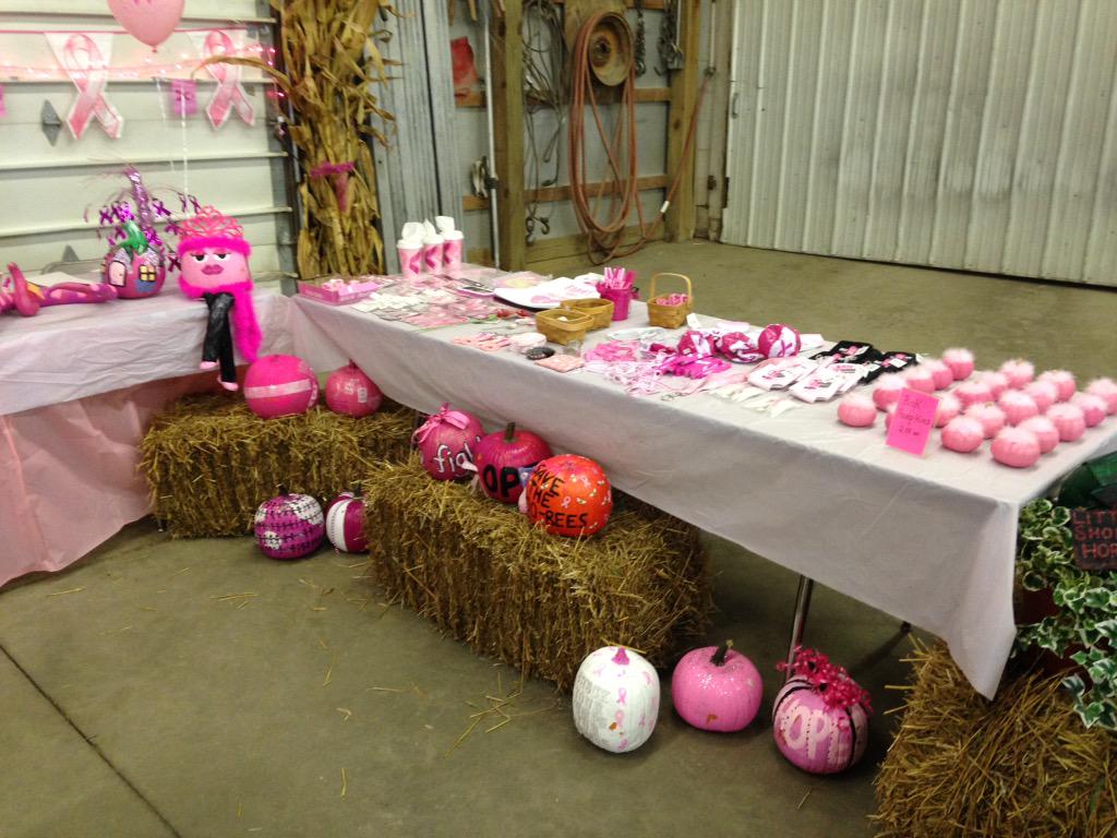 KimHaney13's tweet photo. MLS #PinkWeek2015 pumpkins back at SchusterGreenhouse for fundraiser! #community http://t.co/hDEaITn4ia